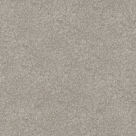 Florentino carpet swatch